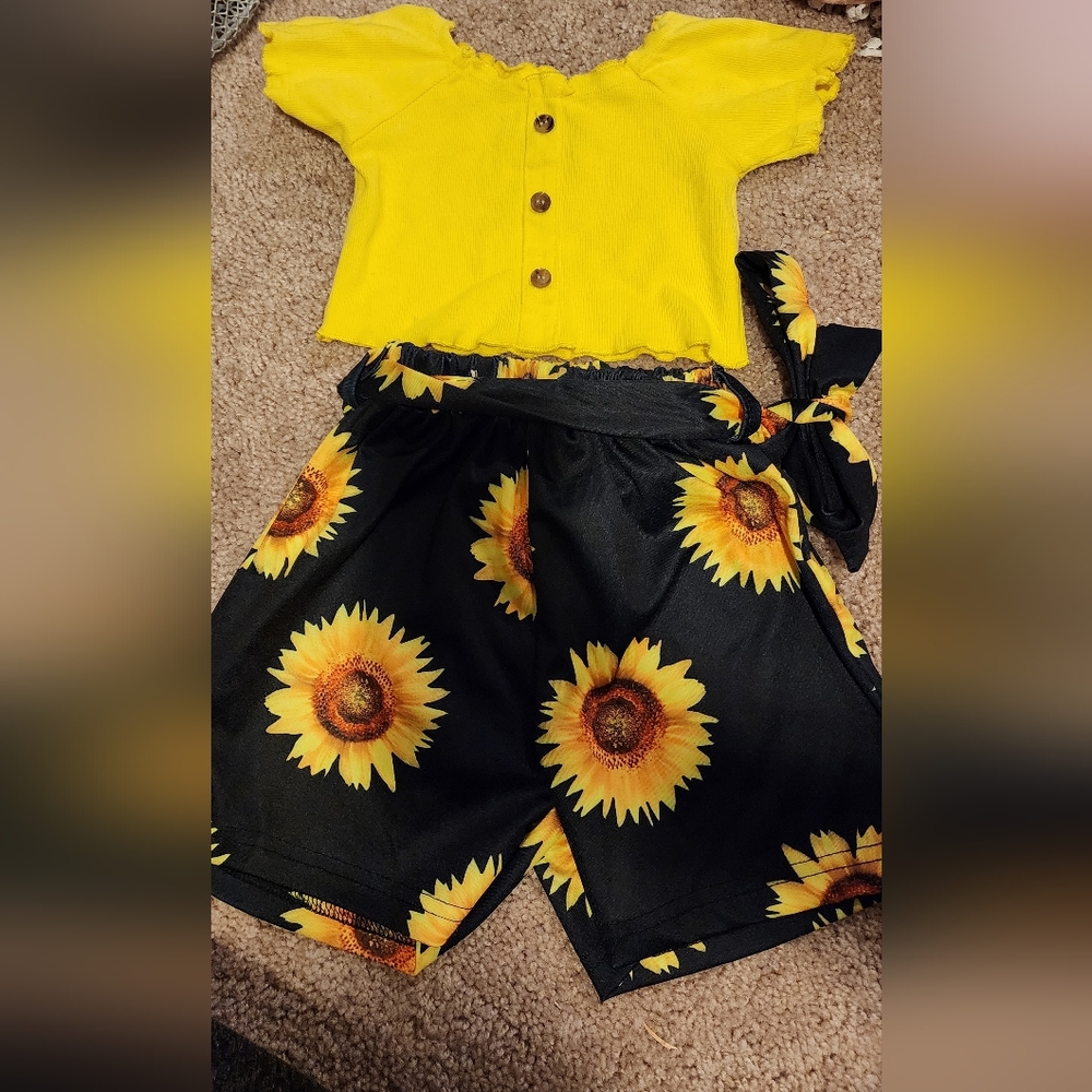 Size 2t girls outfit